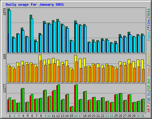 Daily usage for January 2021
