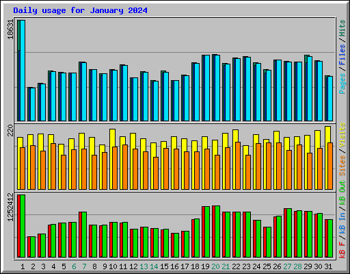 Daily usage for January 2024