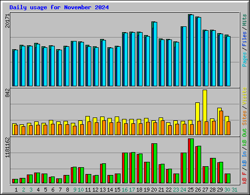 Daily usage for November 2024