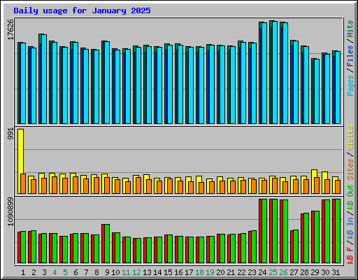 Daily usage for January 2025