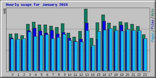 Hourly usage for January 2016