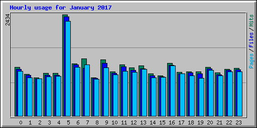 Hourly usage for January 2017