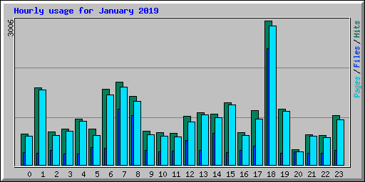 Hourly usage for January 2019
