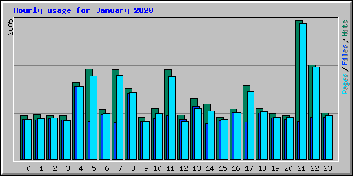 Hourly usage for January 2020