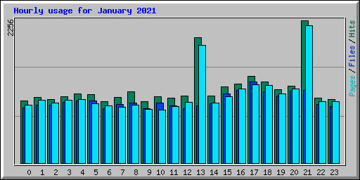 Hourly usage for January 2021