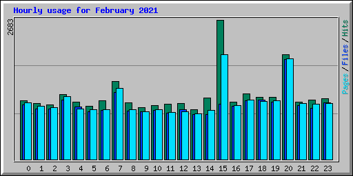 Hourly usage for February 2021