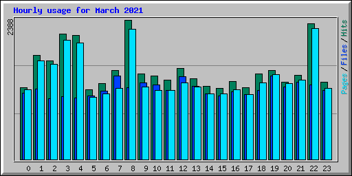 Hourly usage for March 2021