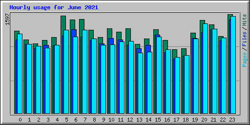 Hourly usage for June 2021