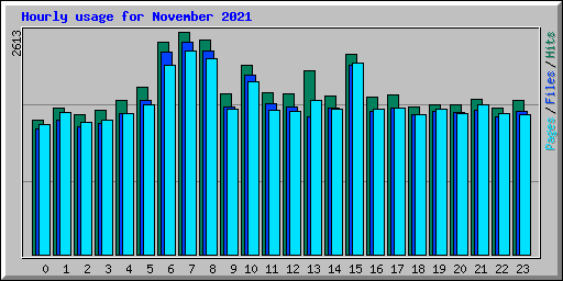 Hourly usage for November 2021