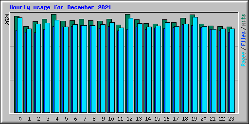 Hourly usage for December 2021