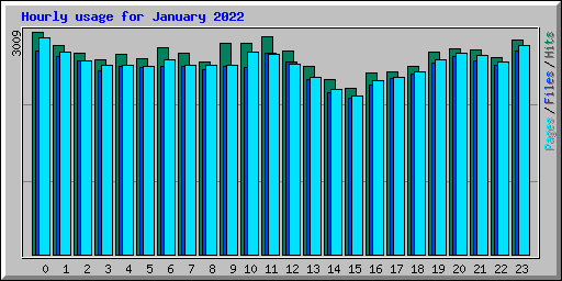Hourly usage for January 2022