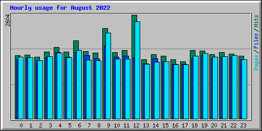 Hourly usage for August 2022