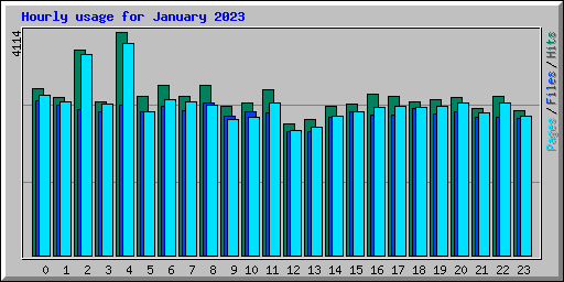 Hourly usage for January 2023