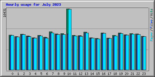 Hourly usage for July 2023