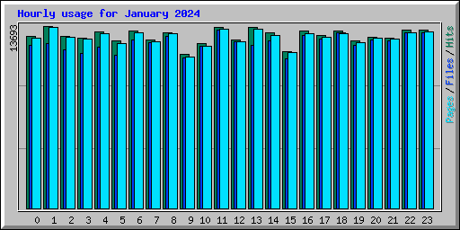 Hourly usage for January 2024