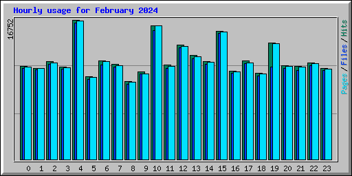 Hourly usage for February 2024