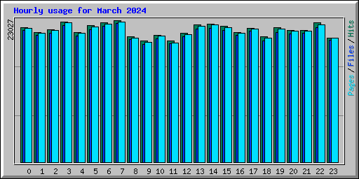 Hourly usage for March 2024