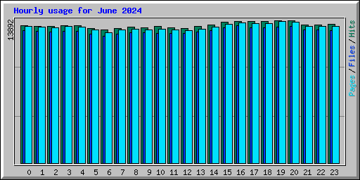 Hourly usage for June 2024