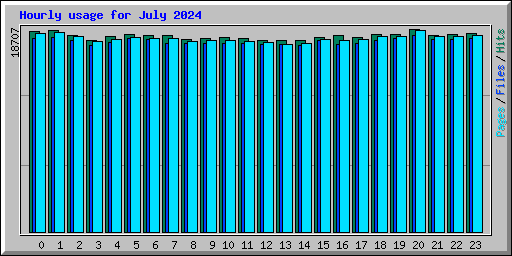 Hourly usage for July 2024