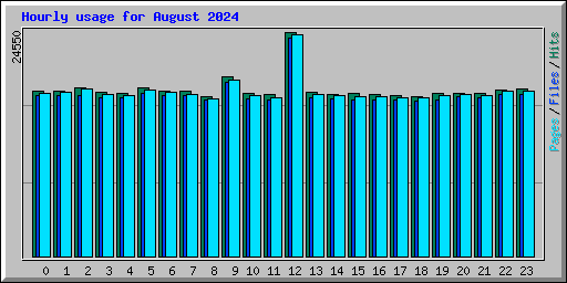 Hourly usage for August 2024