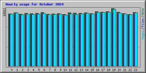 Hourly usage for October 2024