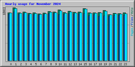 Hourly usage for November 2024