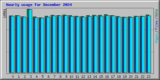 Hourly usage for December 2024