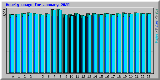 Hourly usage for January 2025
