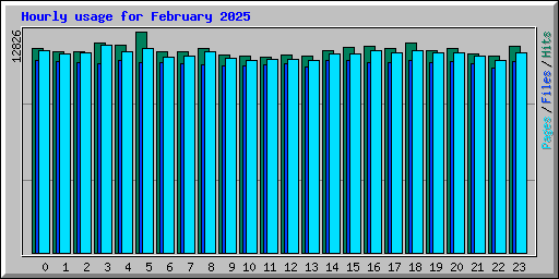 Hourly usage for February 2025