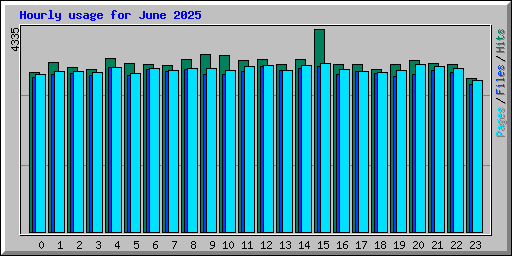Hourly usage for June 2025