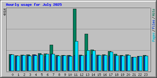 Hourly usage for July 2025