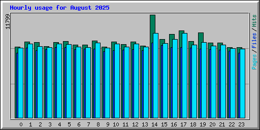 Hourly usage for August 2025