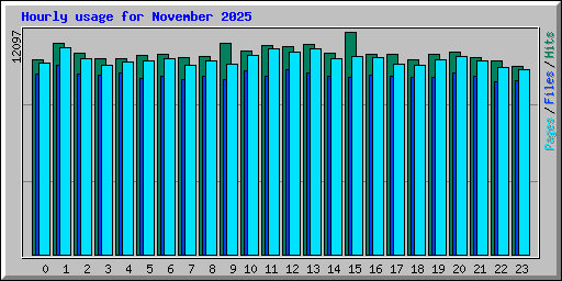 Hourly usage for November 2025