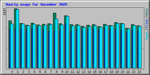 Hourly usage for December 2025